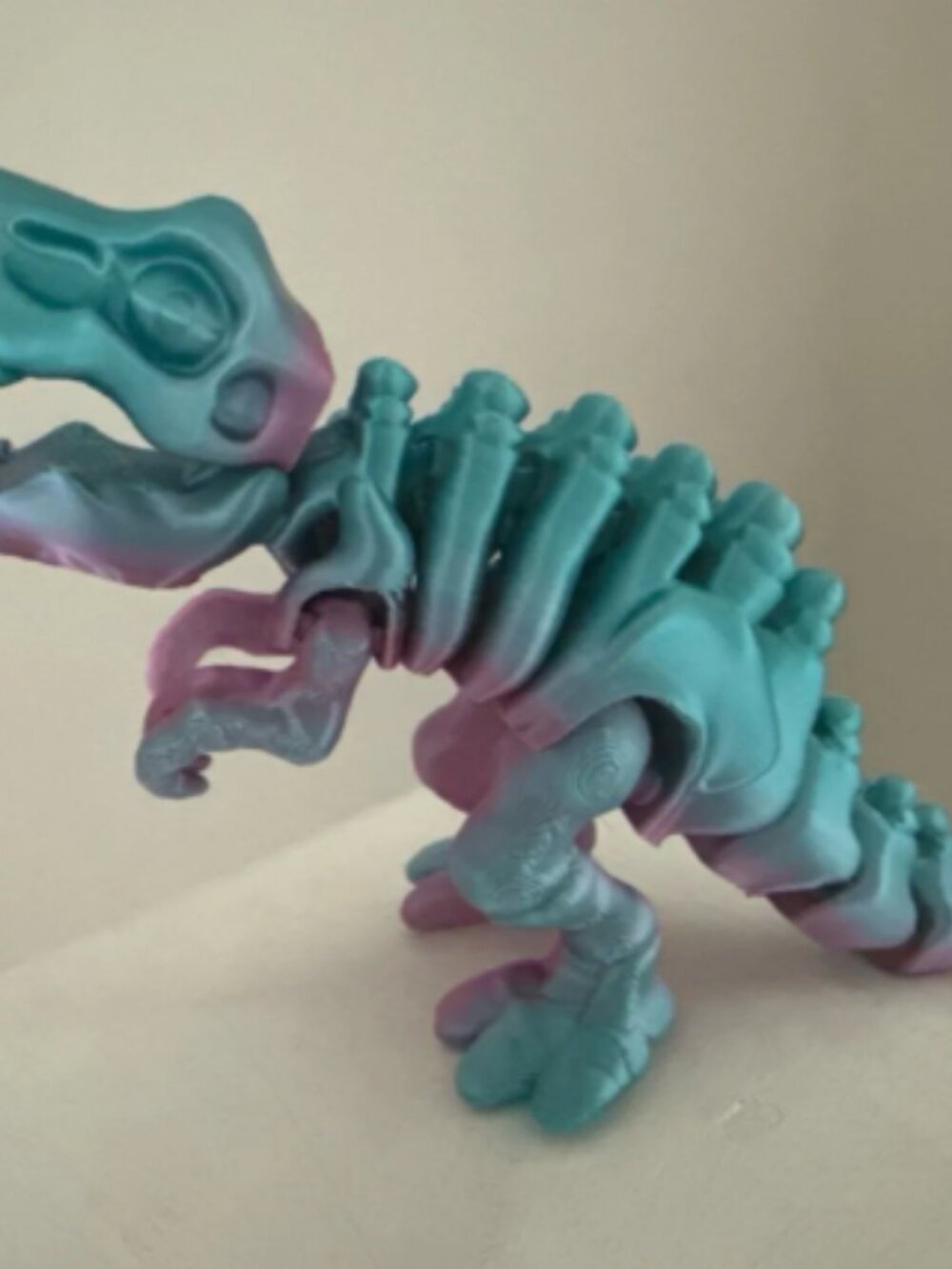 Flexi Skeleton T-Rex Dinosaur 22cm